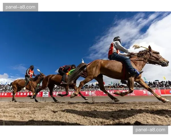 中国BMX国家竞速队结束在美国加利福尼亚的高原集训，返回国内进行最后调整