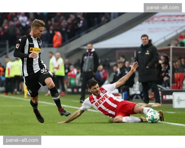 德甲赛场暖心一幕：门兴小球童为客队受伤球员捡回球衣